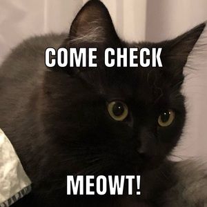 20% off 2 or more items with $4.99 shipping